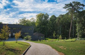 Ease into Autumn. Yoga & Sound Retreat Day